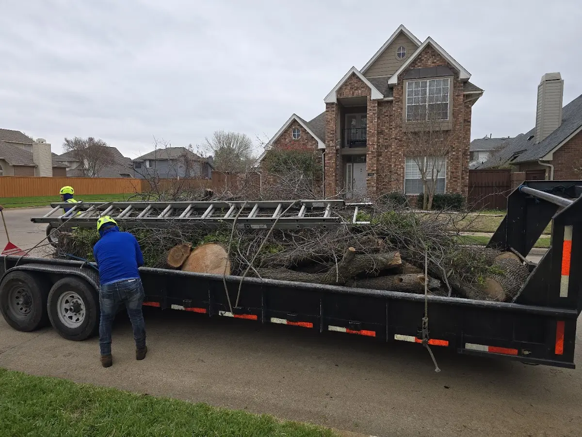 Expert Tree Pest Control with proper safety equipment in Knightsville